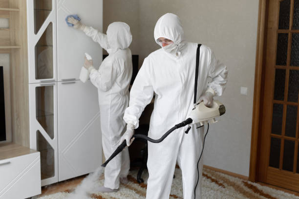Best Fast Mold Removal  in Mansfield Center, CT