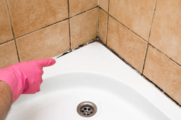 Best Water Damage Restoration  in Mansfield Center, CT
